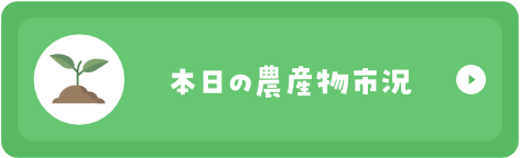 本日の農産物市場