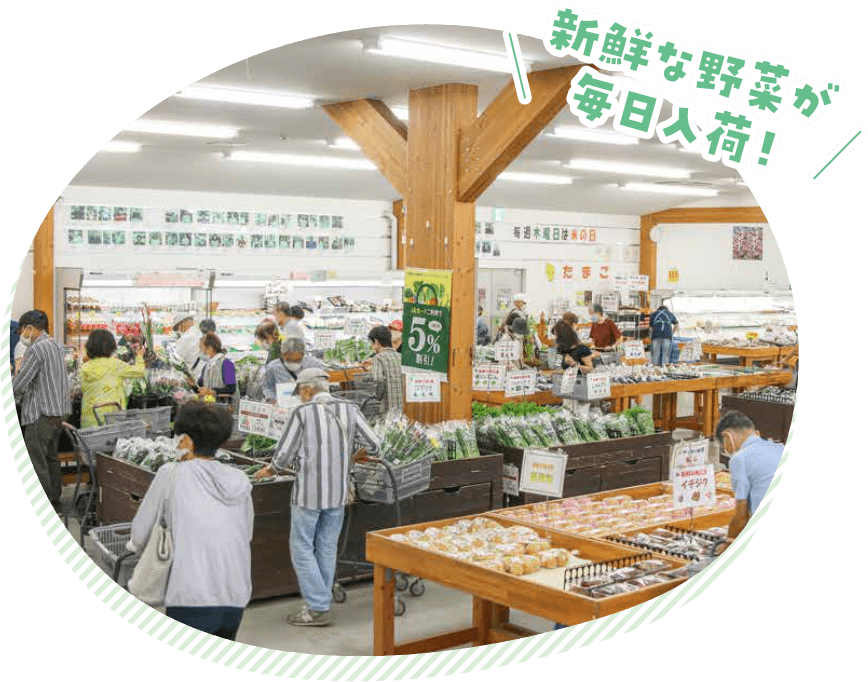 新鮮な野菜が毎日入荷