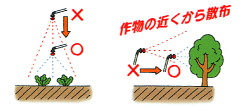 作物に近づけて散布を