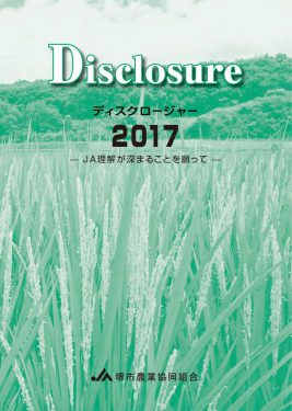 ディスクロージャー2017年