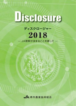 ディスクロージャー2018年