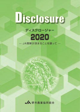 ディスクロージャー2020年