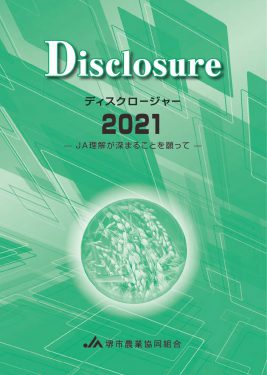 ディスクロージャー2021年