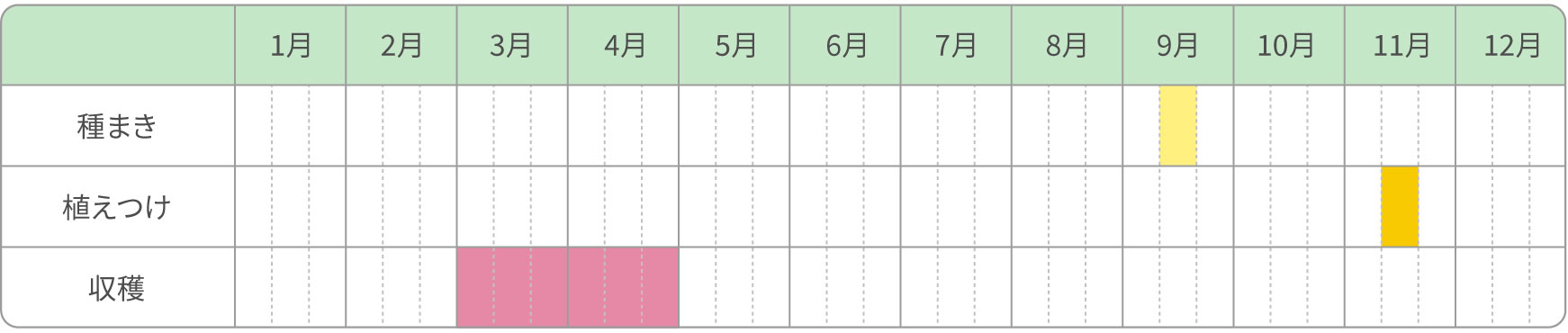 葉ネギ／秋まき（植えつけあり）