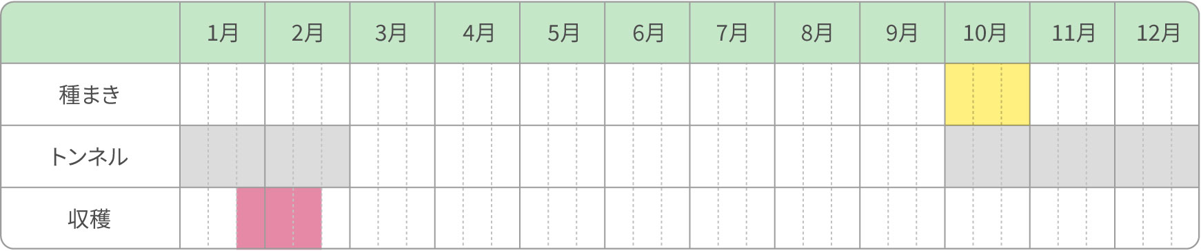 秋トンネル栽培（暖地）