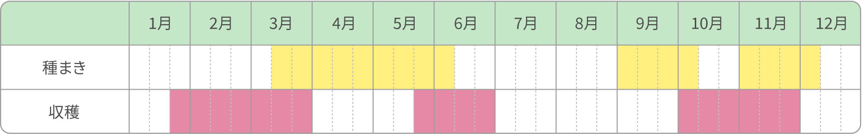 普通栽培