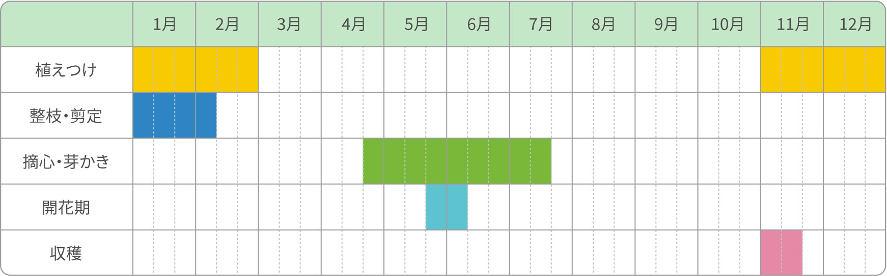 普通栽培