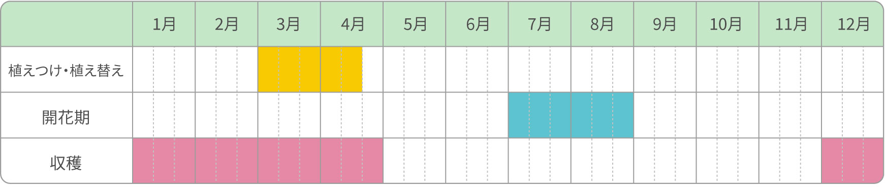 普通栽培