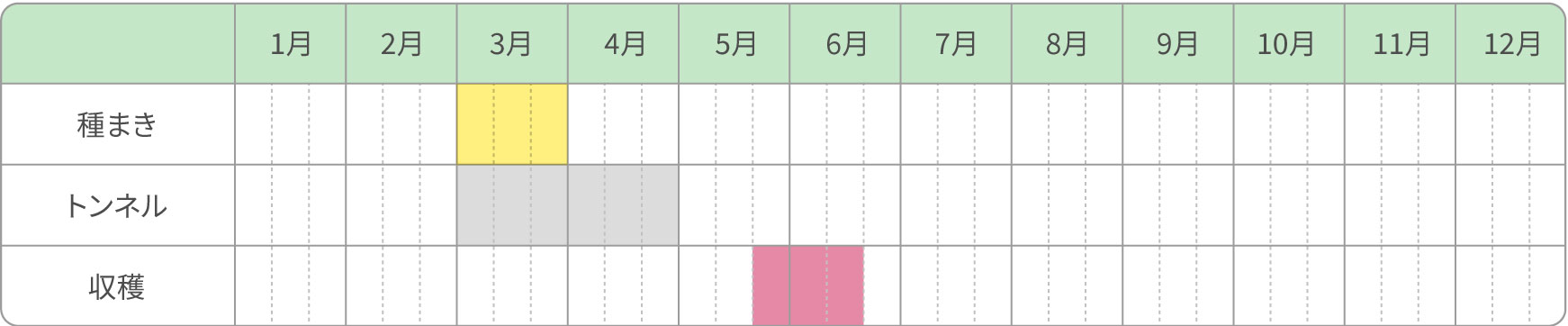 春トンネル栽培（寒冷地）