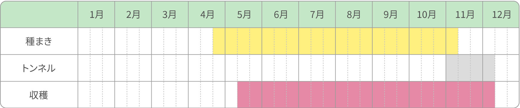 葉物栽培