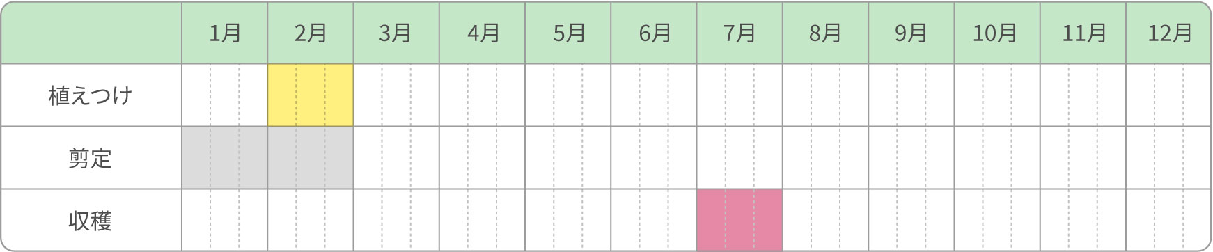 普通栽培（夏果）