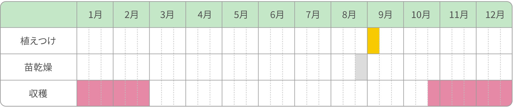 葉ネギ／干し苗作り