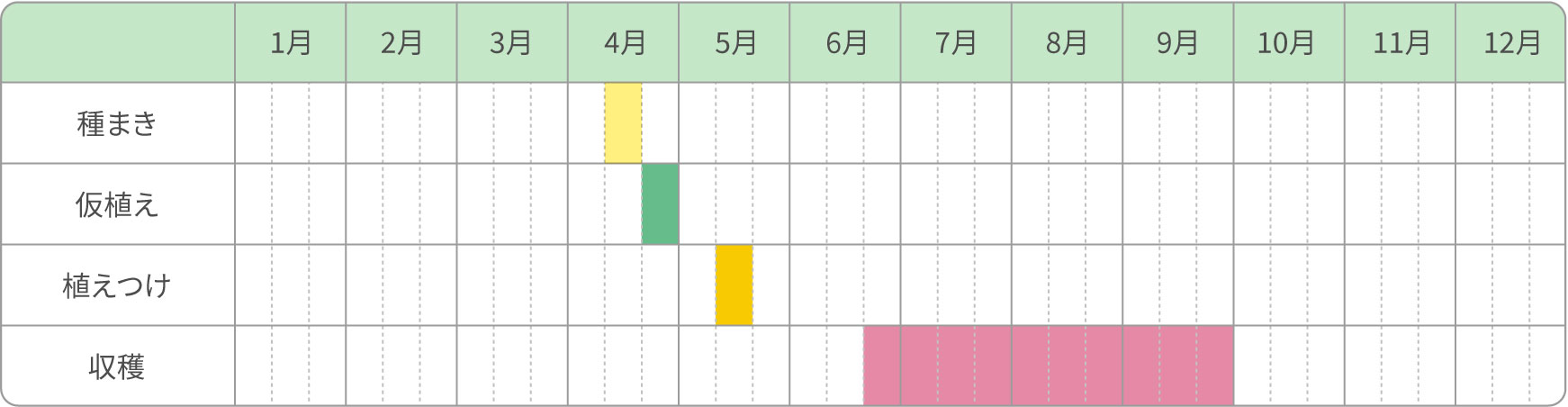 移植栽培