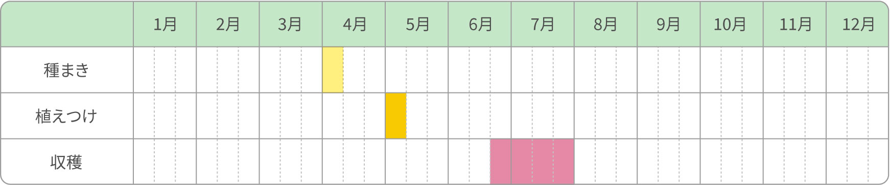 移植栽培