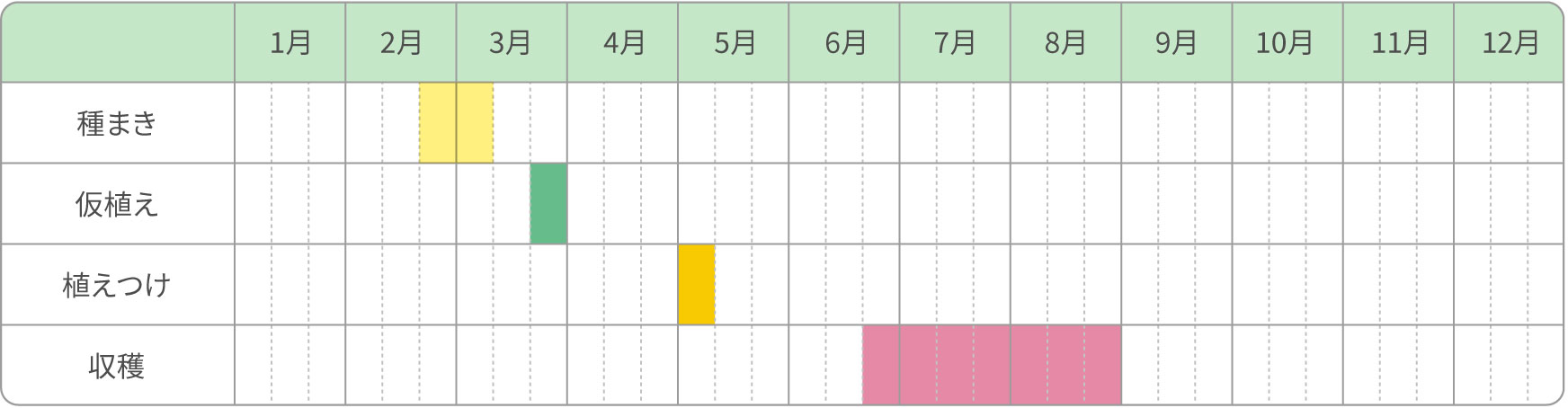 露地栽培（ミニトマトも同様）