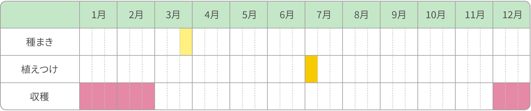 ネギ／春まき