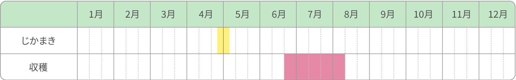 エダマメ　普通栽培