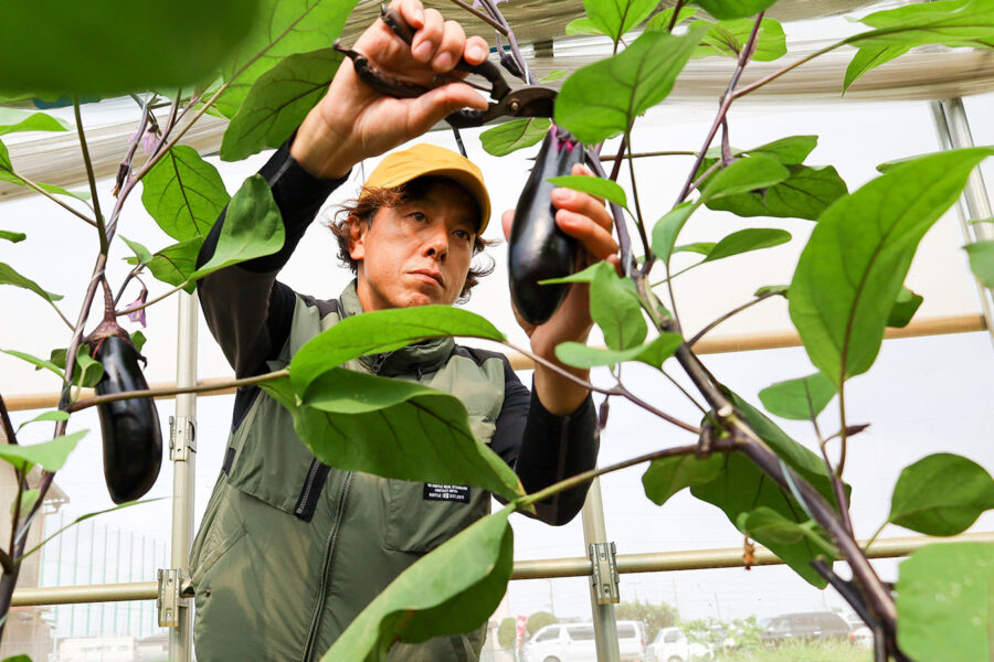 生産者のご紹介に「淺田　邦彦さん」を掲載しました