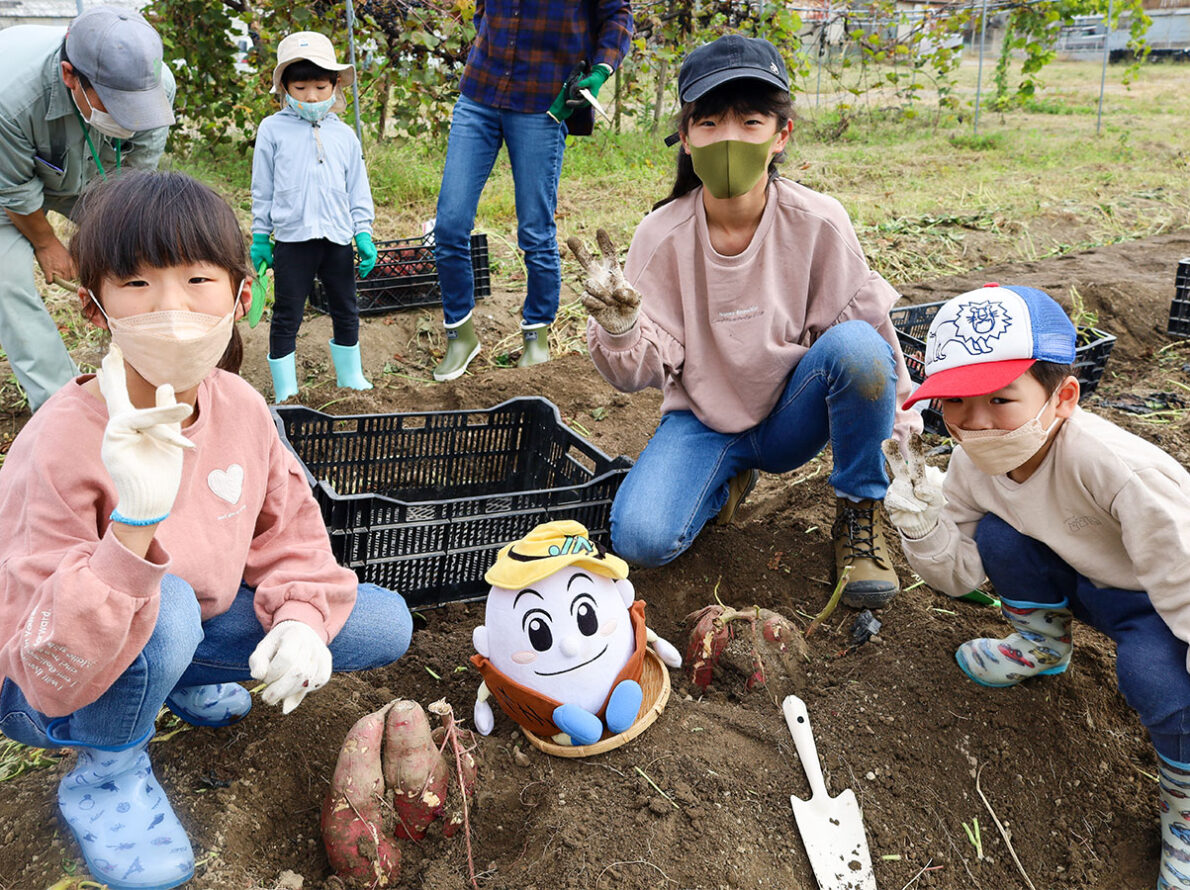 サツマイモの収穫！