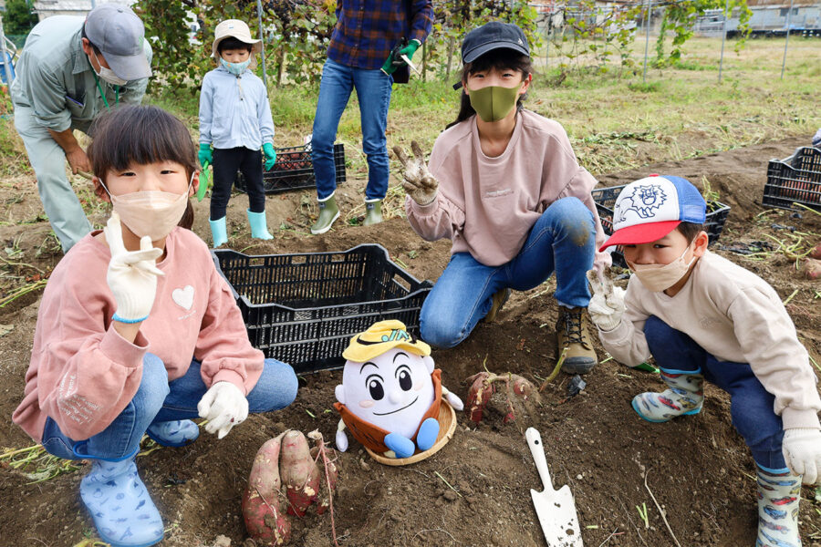 サツマイモの収穫！