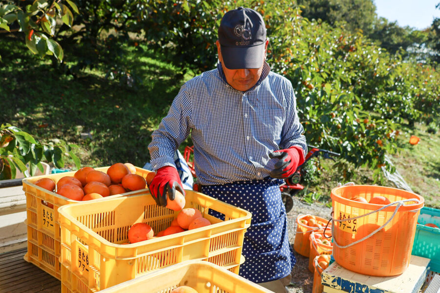 生産者のご紹介に「北本　充さん」を掲載しました