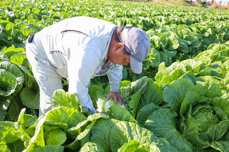 生産者のご紹介に「田中　正剛さん」を掲載しました