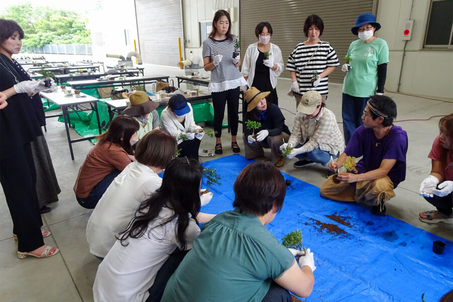 女性会フレッシュミズ「ミニ盆栽作り」講座を開催