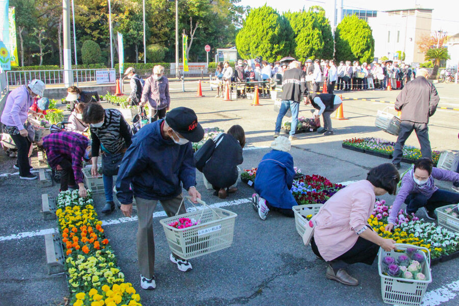 花き類の販売