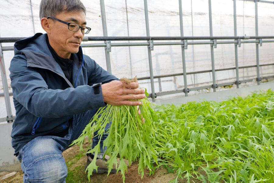 生産者のご紹介に「豊西　克嘉さん」を掲載しました