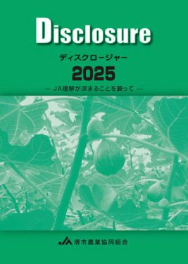 ディスクロージャー2025