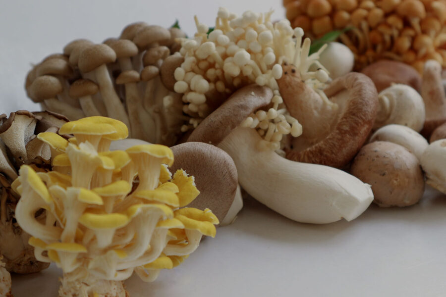 「味シメジ」とは何シメジ？
