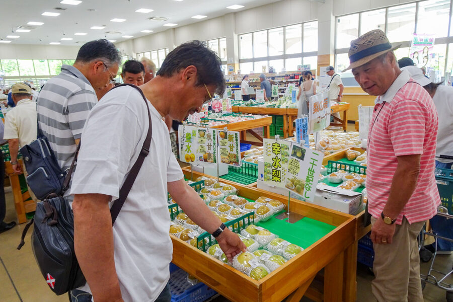 野菜振興会（登美丘支部）が視察研修会を実施