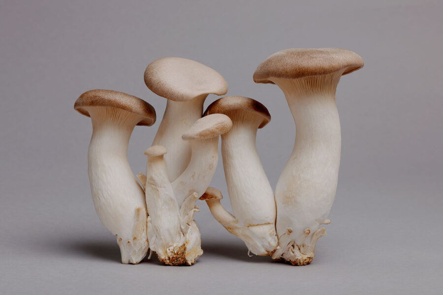 エリンギには旬がない？