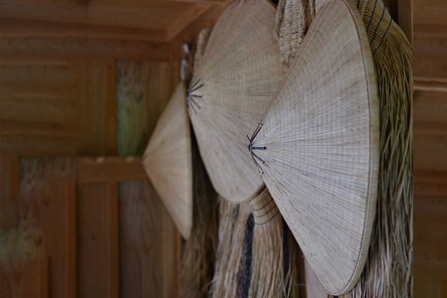 ワラは食べないけれど…