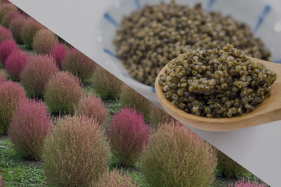 畑のキャビア？