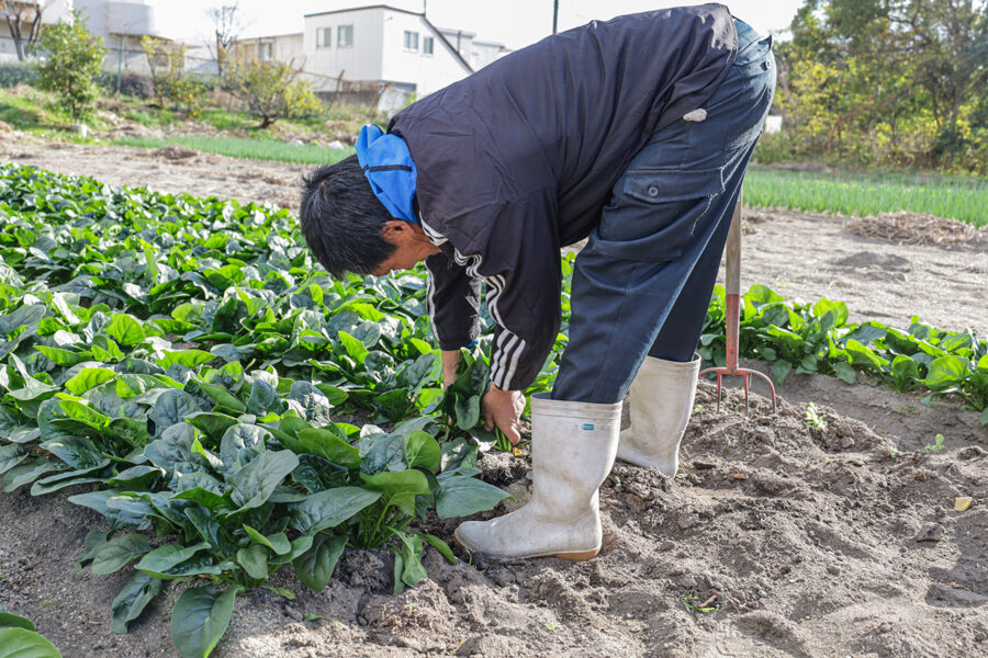 生産者のご紹介に「望月　祐一さん」を掲載しました