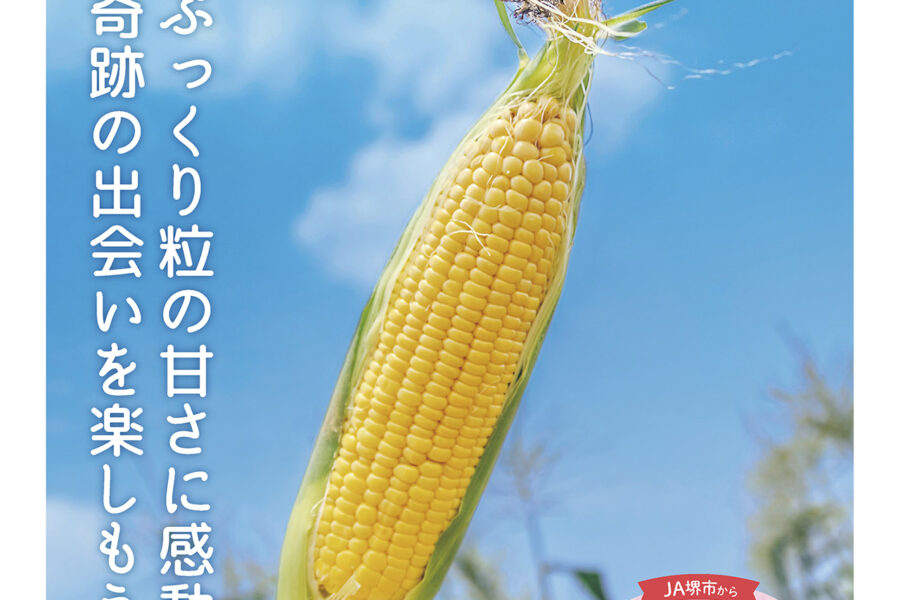 コミュニティ誌「みんな見て菜」の最新号を掲載しました