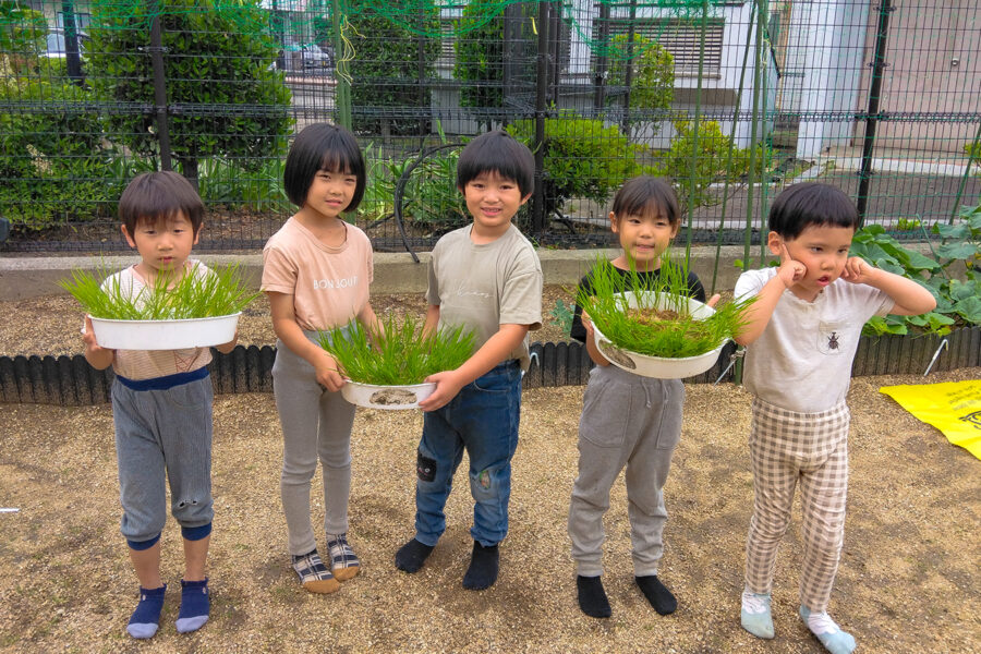 「さかいしSDGs推進プラットフォーム」を通じた食農教育活動