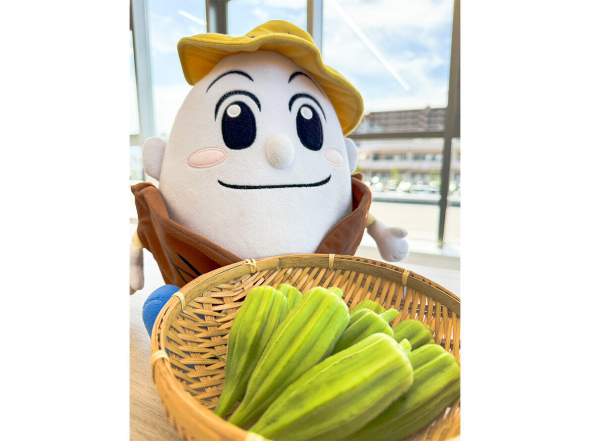 面白いオクラを教えてもらったよ!