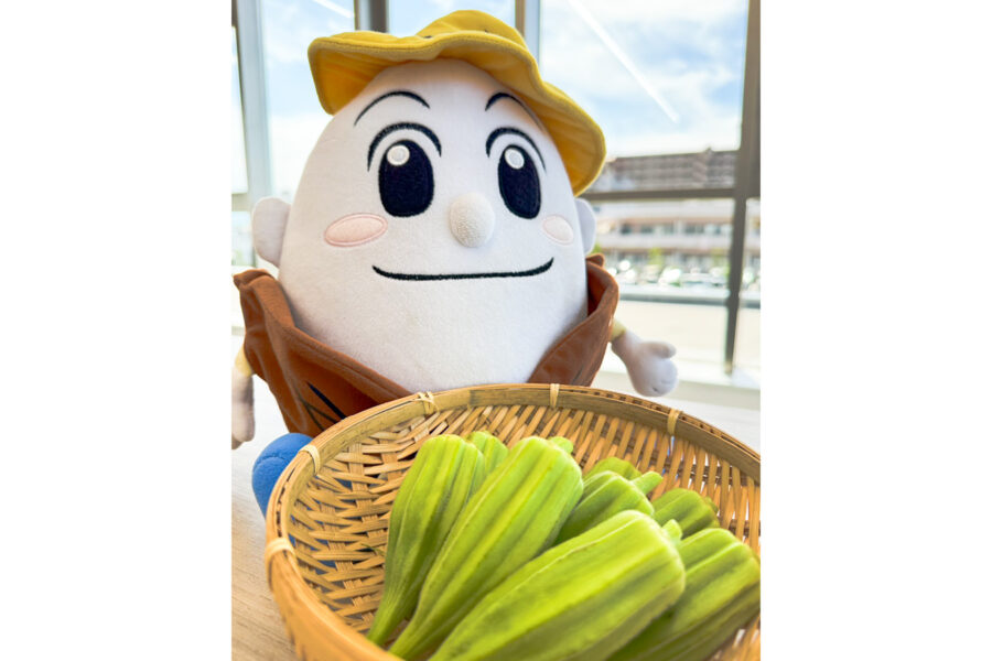 面白いオクラを教えてもらったよ！